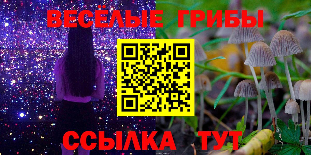 наркота  Вход с VPN  Будённовск  Галлюциногенные грибы Magic Shrooms 